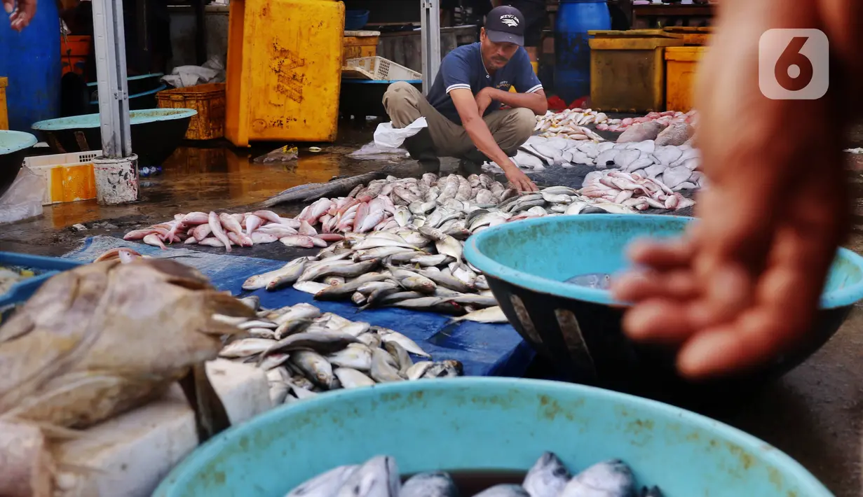 Suasana pasar ikan di Kamal Muara, Jakarta, Jumat (15/4/2022). Menteri Kelautan dan Perikanan Sakti Wahyu Trenggono memastikan pasokan ikan untuk kebutuhan selama Ramadhan 1443 Hijriah dan Hari Raya Idul Fitri aman. (Liputan6.com/Angga Yuniar)