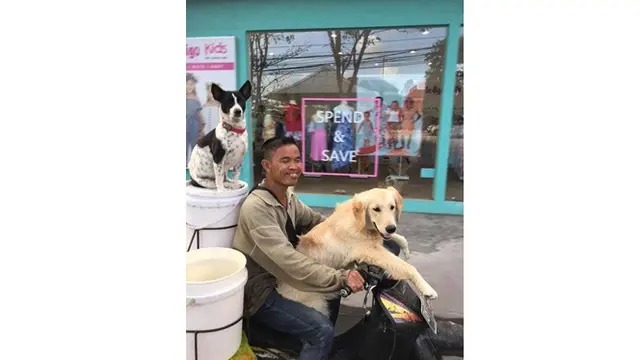 Pria Ini Selalu Bawa Banyak Anjing Saat Bekerja, Ini 6 Potretnya