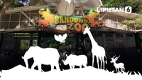 Infografis Izin Dicabut Kemenhut Nasib Satwa hingga Karyawan Bandung Zoo