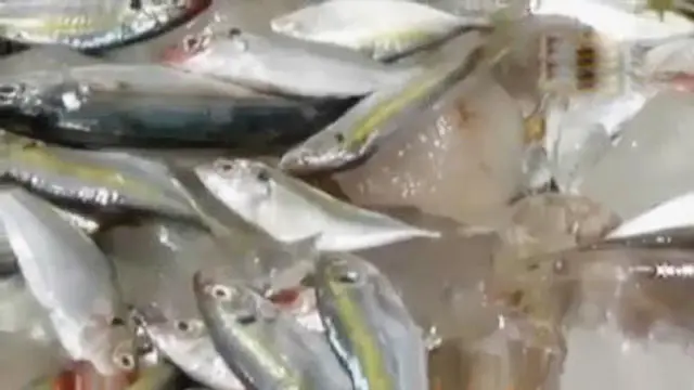 Ikan berformalin dari Kalimantan akan dijual ke Barombong.