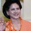 Hj. Iriana atau juga dikenal dengan Ibu Iriana Joko Widodo adalah istri dari Presiden Indonesia ketujuh, Ir. H. Joko Widodo.
