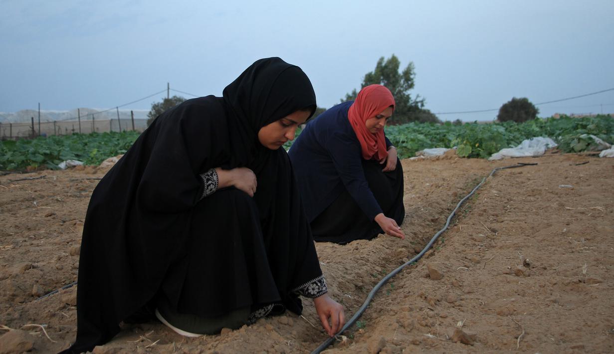 Foto Israel Berlakukan Zona Penyangga Keamanan Di Jalur Gaza Global Liputan6 Com