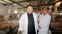 Kim Jong-un di peternakan yang dikelola oleh Korea Utara (KCNA/AFP)