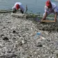 Petugas membersihkan bangkai ikan yang mati di sepanjang reklamasi pantai Ancol, Jakarta (30/11/2015). Ribuan ikan yang mati dan terdampar di pantai ini diduga akibat tercemar limbah industri. (Liputan6.com/Gempur M Surya)