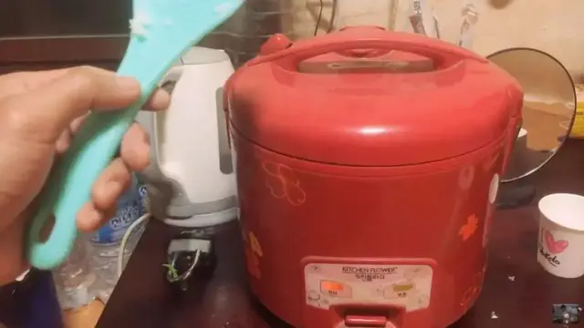 Tutup Rice Cooker, Tekan Tombol "Cook", dan Tunggu Hingga Indikator Beralih ke Mode "Warm"