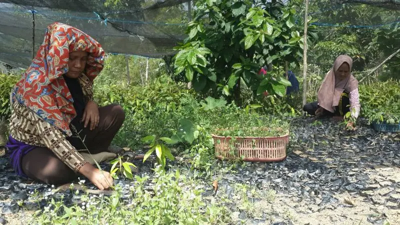 Perusahaan batubara PT Tunas Inti Abadi (TIA) memperbaiki lahan kritis di daerah aliran sungai tahura Sultan Adam, kawasan waduk Riam Kanan, desa Tiwingan Lama, Banjar Kalimantan Selatan. (Wicak/Liputan6.com)