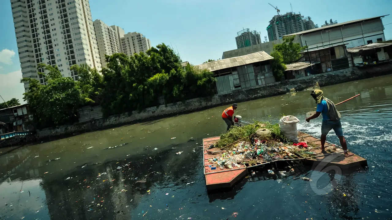 Petugas Bersihkan Tumpukan Sampah di Kali Sentiong
