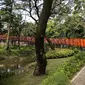 Pengunjung berjalan di Tebet Eco Park, Jakarta, Selasa (10/5/2022). Warga memanfaatkan libur dengan bermain dan berolahraga di taman terbuka setelah pemerintah memperpanjang masa liburan sekolah hingga tanggal 11 Mei 2022. (Liputan6.com/Faizal Fanani)