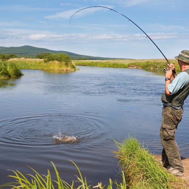 Cara Baru Memancing Gunakan Umpan Dari Anak Itik Citizen6 Liputan6 Com