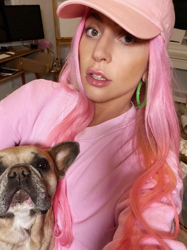 Lady Gaga dan anjingnya, Koji. (Instagram/ ladygaga)