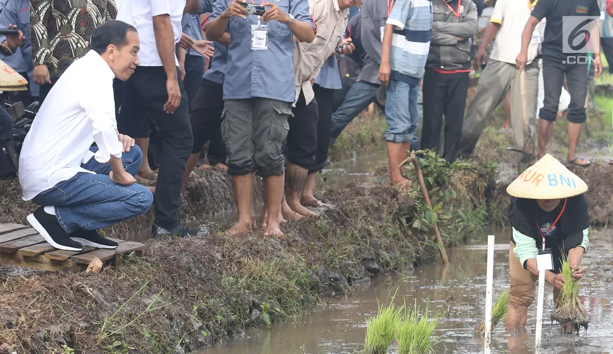 Presiden Joko Widodo berbincang dengan petani di pinggir sawah, di Desa Cisaat, Leuwigoong, Garut, Sabtu (19/1). Kunjungan tersebut untuk meninjau Gerakan Mengawal Musim Tanam Oktober-Maret 2017/2019dan Kewirausahaan Pertanian. (Liputan6.com/Angga Yuniar)