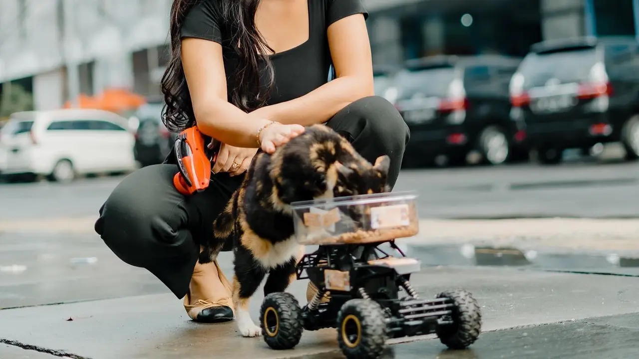 Ariel Tatum dulu sempat tak suka kucing