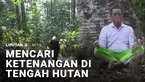 Fungsi hutan memang krusial dan beragam. Sebagian orang bahkan memilih untuk mencari ketenangan di hutan dengan bermeditasi dan memeluk pohon besar.
