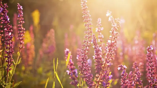 Foto: copyright thinkstockphotos.com