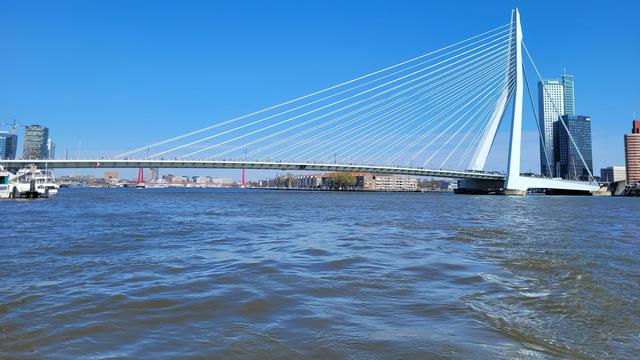 Erasmus Bridge