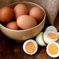 Ilustrasi telur rebus/copyright shutterstock.com/itaci