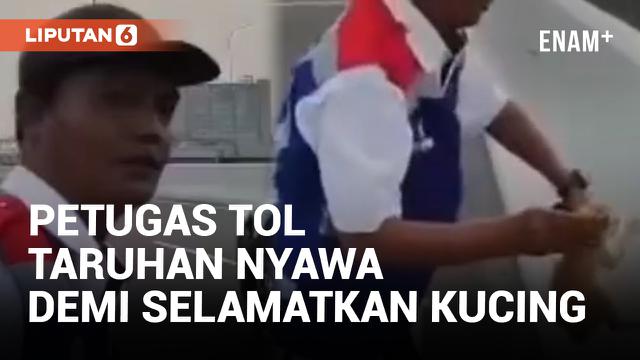 Petugas Tol Becakayu Pertaruhkan Nyawa Demi Selamatkan Kucing