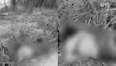 Geger, Jasad Wanita Ditemukan di Kebun Sawit Mesuji