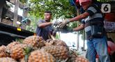 Pedagang menata buah nanas yang akan dijual di kawasan Ciledug, Kota Tangerang, Kamis (6/4/2023). (Liputan6.com/Angga Yuniar)