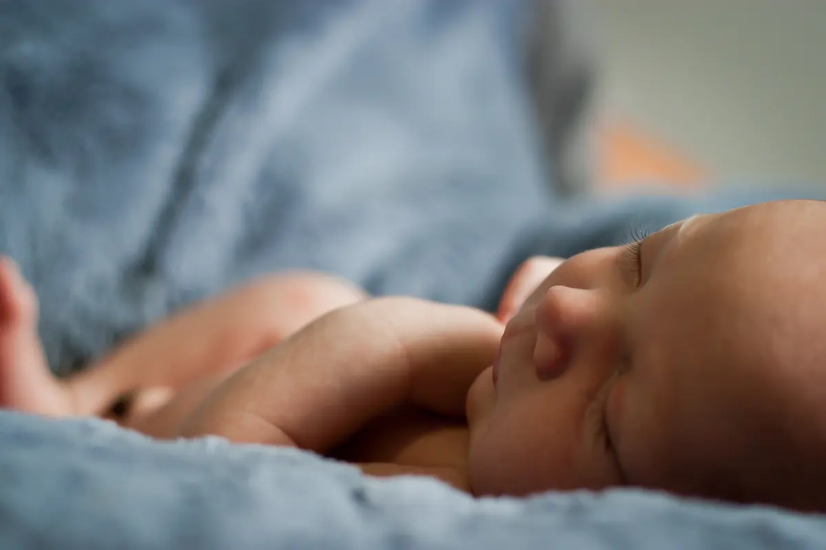 menyusui bayi prematur