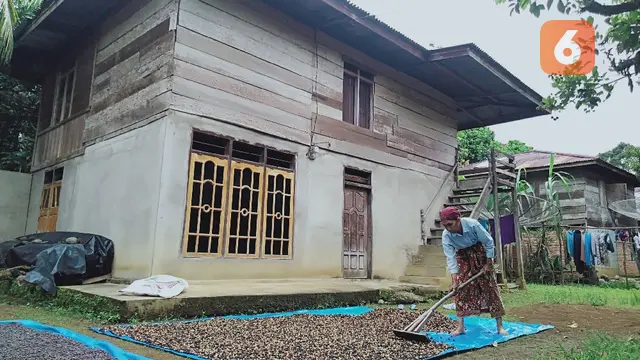 Menjemur Kopi