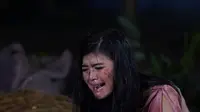 Sinopsis Sinetron SCTV Cinta Suci Episode Jumat 17 Mei 2019: Korban Kecelakaan Pesawat Ditemukan, Ada Marcell?