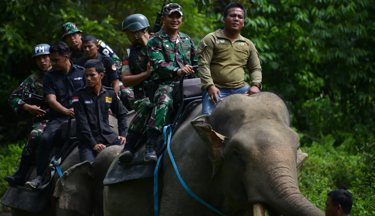 Polisi militer Indonesia dan penjaga taman nasional dibantu gajah jinak melakukan patroli keliling hutan di kawasan hutan Ulue Masen, provinsi Aceh, Sabtu (27/4/2019). Patroli keliling tersebut guna menjaga kelestarian alam dan satwa liar dari ancaman kepunahan. (CHAIDEER MAHYUDDIN/AFP)