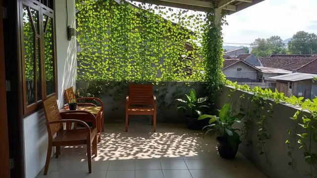 Ide Teras dengan Pagar Tanaman Sirih Gading Rambat