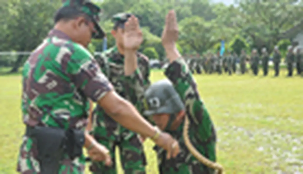 liputan6