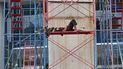Pekerja tengah beristirahat disela pengerjaan pembangunan Jalan Layang Transjakarta rute Ciledug-Kapten Tendean, Jakarta, Kamis (10/12). Sampai saat ini, proyek transportasi massal tersebut telah rampung sekitar 35 persen. (Liputan6.com/Angga Yuniar)