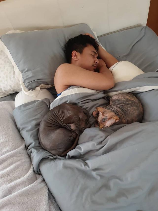 Artis Tanah Air Pelihara Kucing Harga Fantastis