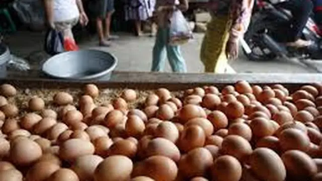 Harga Telur di pasaran naik jelang bulan puasa (Istimewa)