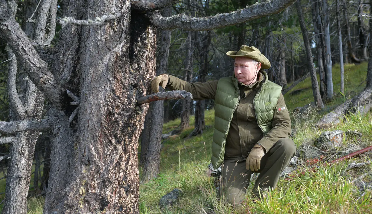 Presiden Rusia, Vladimir Putin berpose ketika menghabiskan waktu di kawasan hutan pegunungan Siberia, pada 6 Oktober 2019. Presiden Vladimir Putin menikmati hari lahirnya dengan mendaki pegunungan dan memetik jamur liar pada akhir pekan lalu. (Alexey DRUZHININ / Sputnik / AFP)