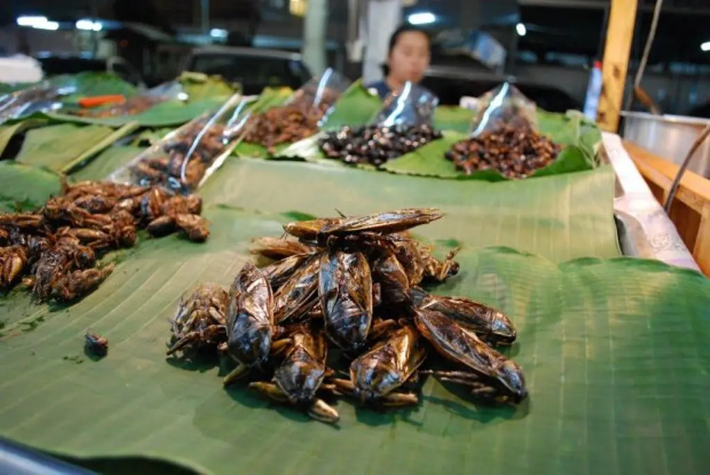 Mang Da, kuliner ekstrem di Thailand. (Sumber Foto: Alpha/Flickr)
