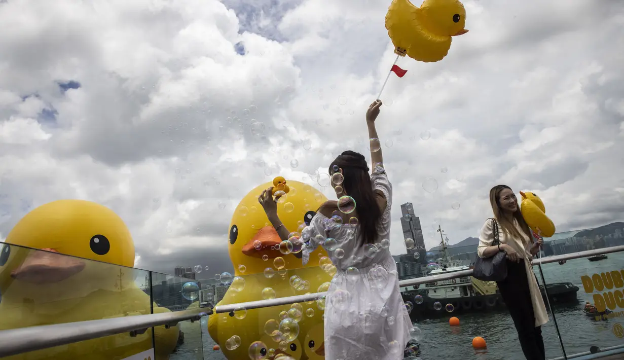 Hofman mengatakan bahwa sepasang bebeknya melambangkan "dua kali kesenangan, dua kali kebahagiaan" dan membawa kegembiraan baru ke Hong Kong. (Photo by ISAAC LAWRENCE / AFP)
