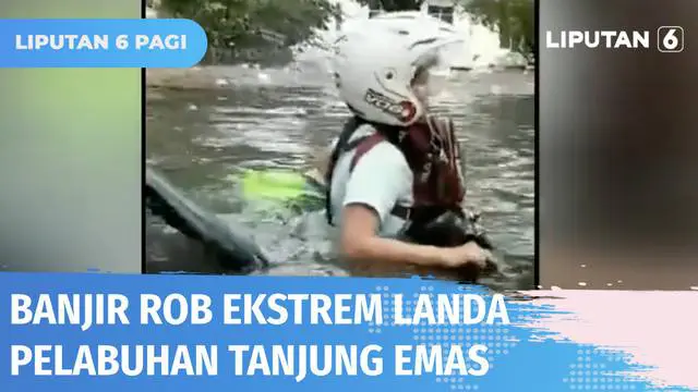 VIDEO: Banjir Rob Ekstrem Terjang Kawasan Pelabuhan Tanjung Emas, Mencapai 1 Meter!