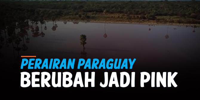 VIDEO: Pencemaran Polusi Rubah Perairan Paraguay Jadi Pink