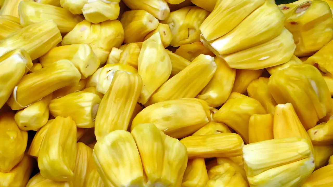 Nangka