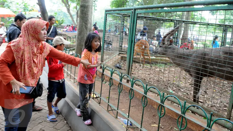 20151227-Kebun Binatang Ragunan-Jakarta-Helmi Afandi