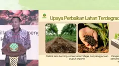 Alarm El Nino: Kemenhut Minta Rehabilitasi 12,3 Juta Hektare Lahan Kritis