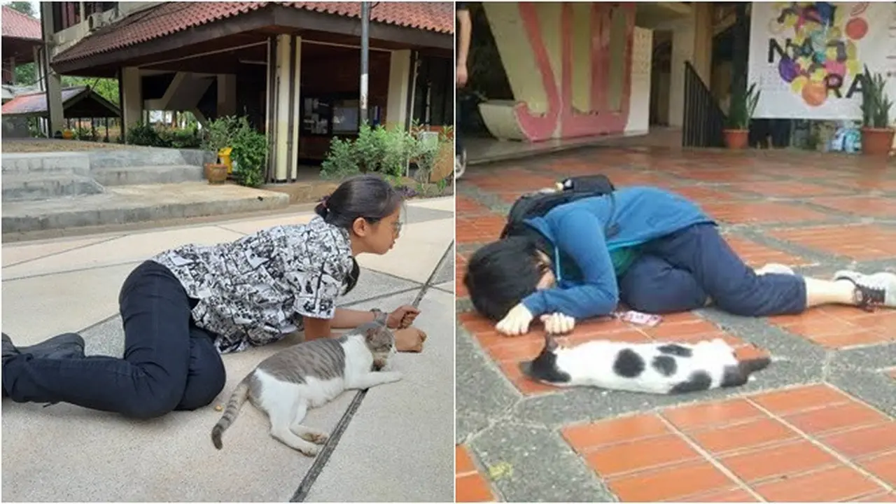 5 Potret Kelakuan Manusia Tiru Pose Kucing Ini Bikin Ketawa