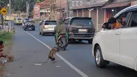 Doger doger monyet di sepanjang jalur Limbangan Barat hingga kawasan Sasak Beusi, Kecamatan Limbanagn Garut, Jawa Barat, cukup menghibur kalangan pemudik terutama anak-anak yang melintas di jalur mudik. (Liputan6.com/Jayadi Supriadin)