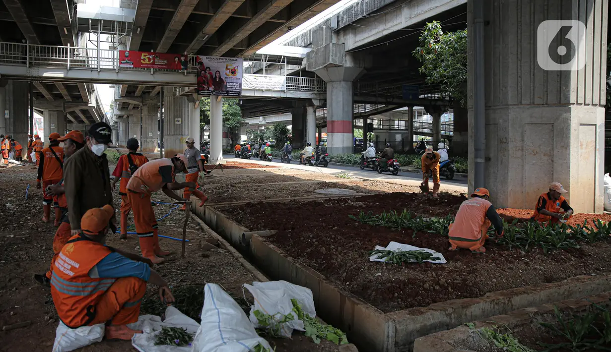 Petugas PPSU menanam pohon di kolong Tol Becakayu, Jakarta, Kamis (12/1/2023). Pemerintah Provinsi DKI Jakarta melakukan penataan lahan melalui program penghijauan sepanjang lima kilometer di tepi saluran Kalimalang  kolong tol Bekasi Cawang Kampung Melayu (Becakayu), Jakarta Timur untuk menjaga mutu air baku Jakarta. (Liputan6.com/Faizal Fanani)