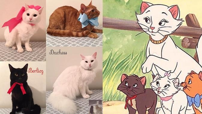 Kucing mirip tokoh animasi (Sumber:Facebook/DuchessandKittens)