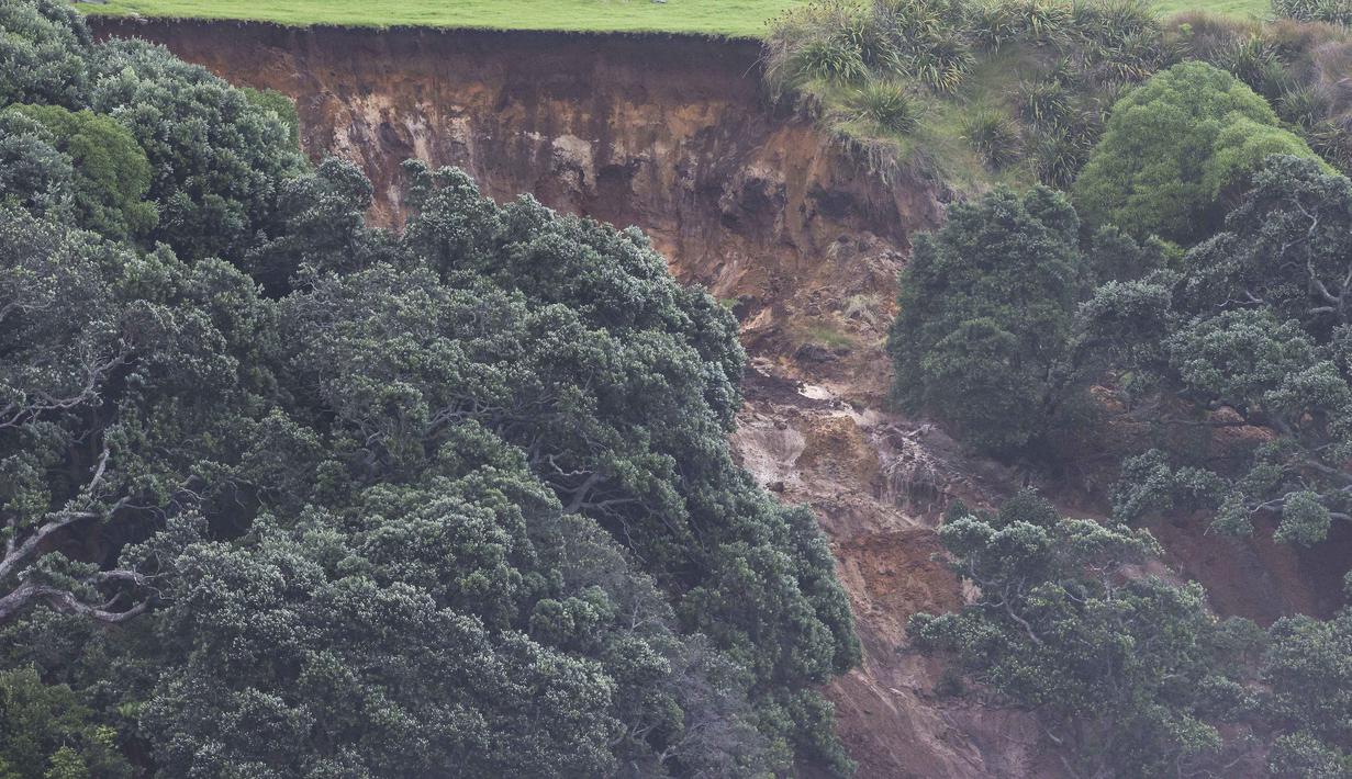 Sejumlah orang, termasuk anak-anak, dilaporkan hilang akibat longsor yang terjadi di dekat sebuah lokasi perkemahan. Tampak foto yang memperlihatkan pemandangan umum yang menunjukkan tanah longsor saat pencarian sedang dilakukan oleh layanan darurat setempat untuk orang hilang di Gunung Maunganui, Tauranga, Selandia Baru pada Kamis 22 Januari 2026. (DJ MILLS/AFP)