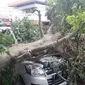 Sebuah mobil tertimpa pohon tumbang di Jalan MA Salmun, Kota Bogor, Senin (7/3/2022) pagi. Pohon tersebut tumbang akibat diterjang angin kencang. (Liputan6.com/Achmad Sudarno)