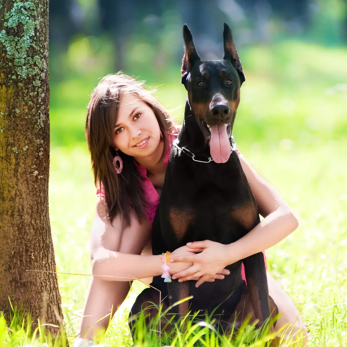Anak hotsell anjing doberman