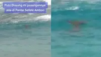 Viral Penampakan Diduga Putri Duyung Tertangkap Kamera di Pantai Latulahat Ambon (TikTok/capt.fredrik_kailola)