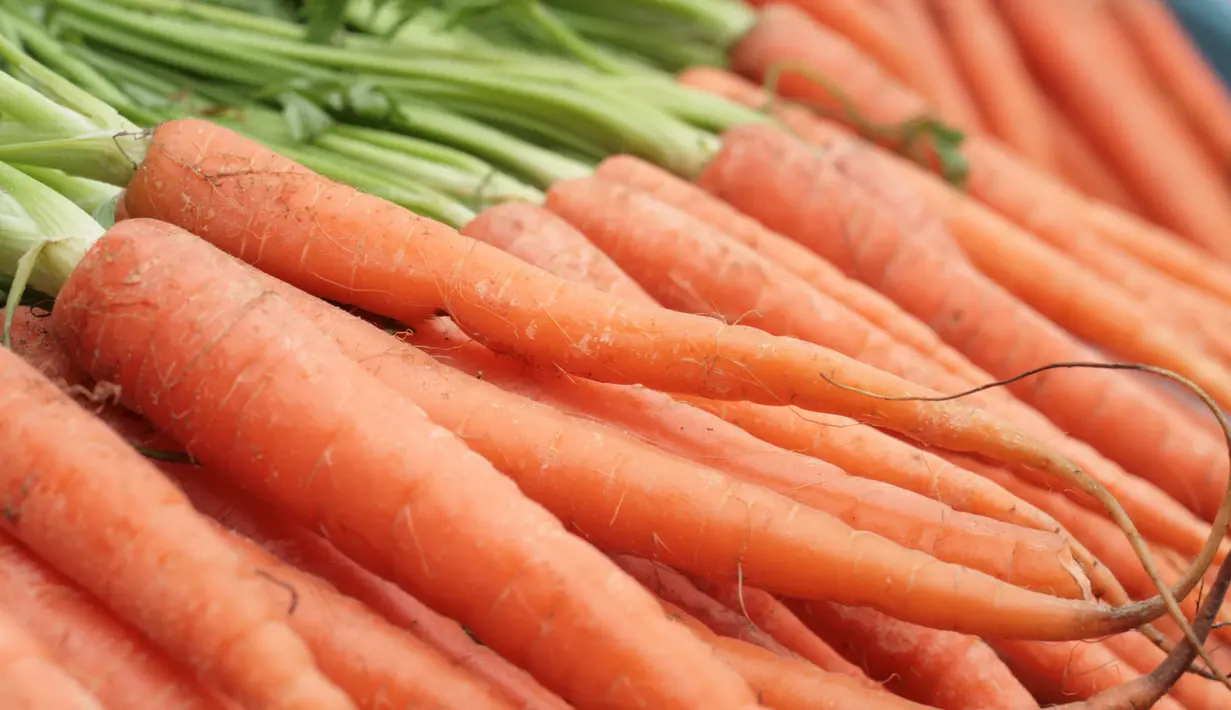 Vitamin A pada wortel membantu kulit bagian mata Anda untuk lebih elastis dan tak lekas keriput. (commons.wikimedia.org)