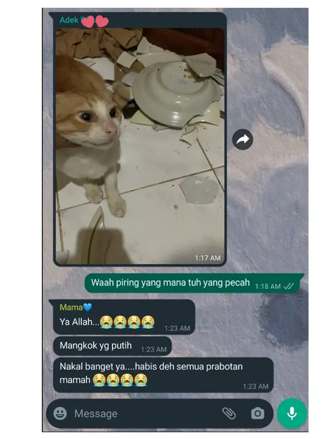 6 Chat Ibu dan Anak Bahas Kucing Ini Kocak, Anabul Jadi Anggota Kesayangan